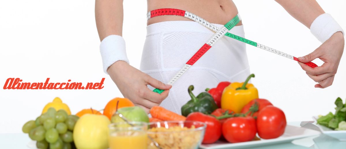 alimentaccion.net